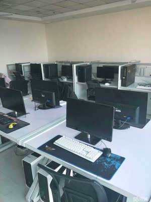 東寧市巨都網絡科技 創新引領，打造卓越網絡科技研發新高地